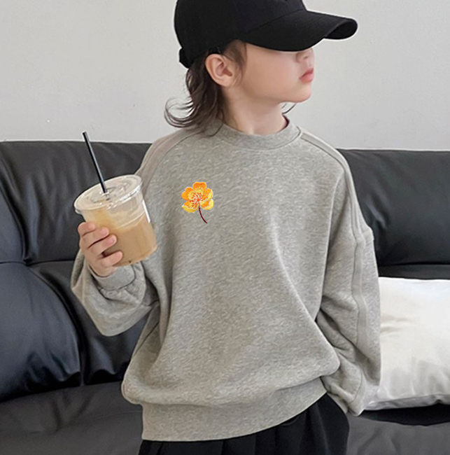 Baby Sweatshirt Cute Pattern Loose Style Boy Clothes